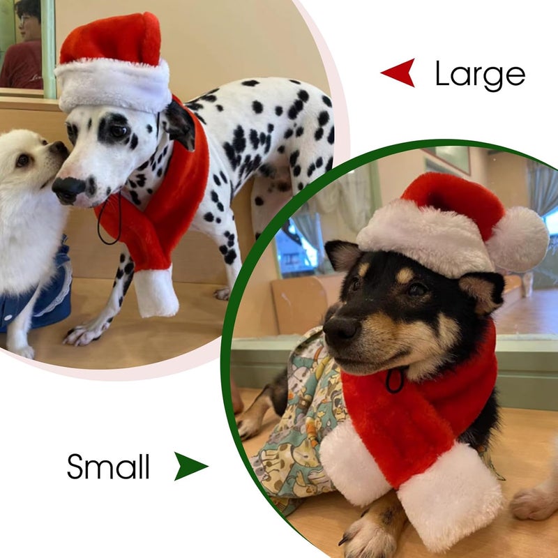 Queenmore Santa Hat for Dogs and Cats, Funny Tiny Christmas Hat for Small Dogs, Soft Plush Festive Red & White Santa Claus Costume, Christmas Dog Costume Cat Costume with Adjustable Band, S - Image 2